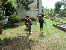 IMG_2809.jpg