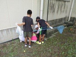 IMG_2810.jpg