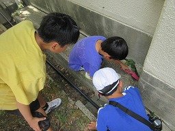 IMG_2811.jpg