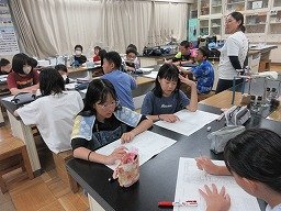 IMG_2822.jpg