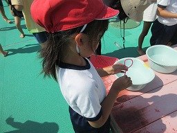 IMG_2835.jpg