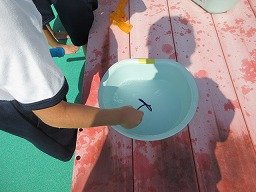 IMG_2841.jpg
