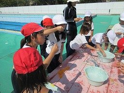 IMG_2842.jpg