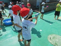 IMG_2845.jpg