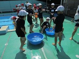IMG_2846.jpg