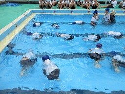 IMG_2870.jpg