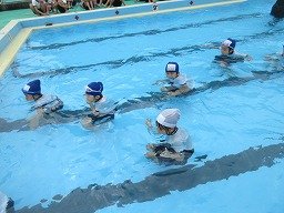IMG_2871.jpg