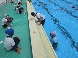 IMG_2877.jpg