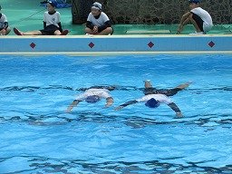 IMG_2878.jpg