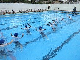 IMG_2903.jpg