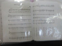IMG_2905.jpg
