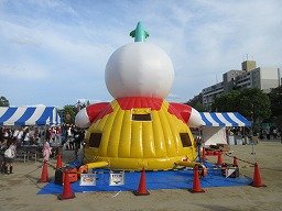 IMG_2920.jpg