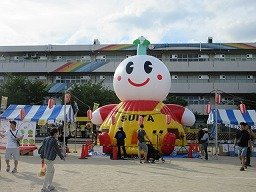 IMG_2921.jpg