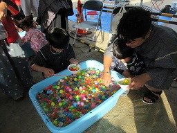 IMG_2924.jpg