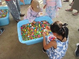 IMG_2925.jpg