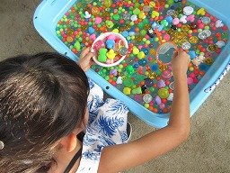 IMG_2927.jpg