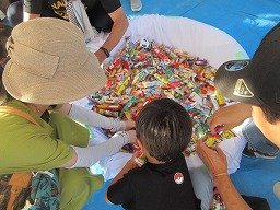 IMG_2929.jpg