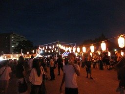 IMG_2945.jpg