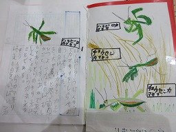 IMG_2950.jpg