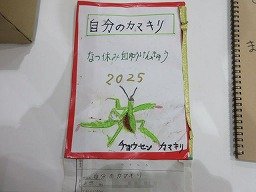 IMG_2951.jpg