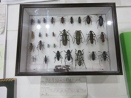 IMG_2952.jpg