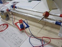 IMG_2957.jpg