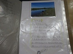 IMG_2961.jpg