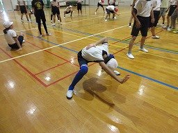 IMG_2971.jpg