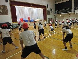 IMG_2981.jpg
