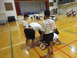 IMG_2990.jpg