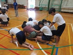 IMG_2991.jpg