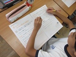 IMG_3005.jpg