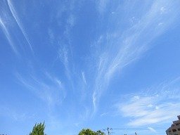 IMG_3065.jpg