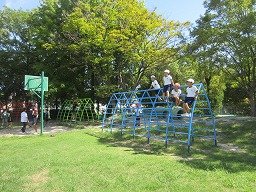 IMG_3067.jpg