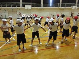 IMG_3146.jpg