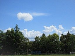 IMG_3157.jpg