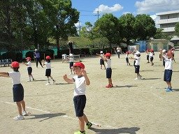 IMG_3162.jpg