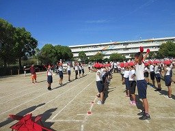 IMG_3184.jpg