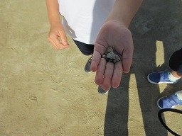 IMG_3186.jpg