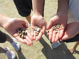 IMG_3189.jpg