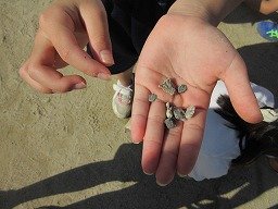 IMG_3190.jpg