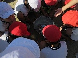 IMG_3191.jpg