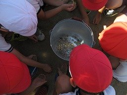 IMG_3192.jpg