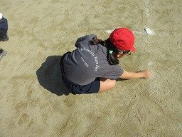 IMG_3193.jpg