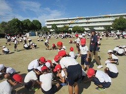 IMG_3194.jpg