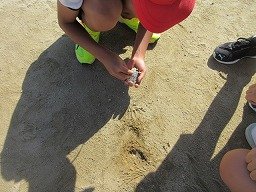 IMG_3195.jpg