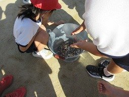IMG_3196.jpg