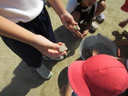 IMG_3197.jpg