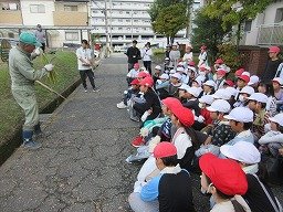 IMG_3265.jpg
