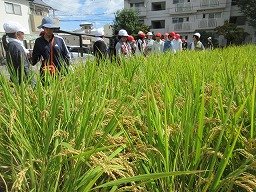 IMG_3268.jpg